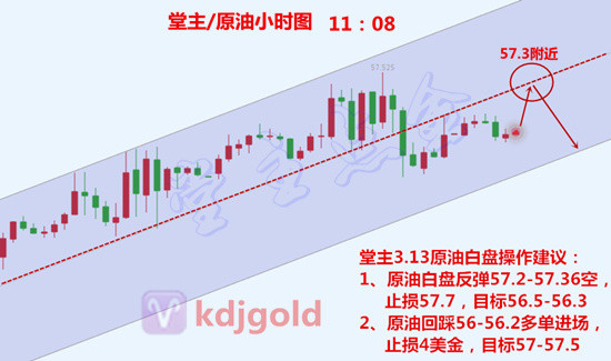 堂主點金313黃金盛宴100點關鍵性抉擇探討