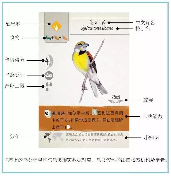 展翅翱翔 自动鸟规则图片