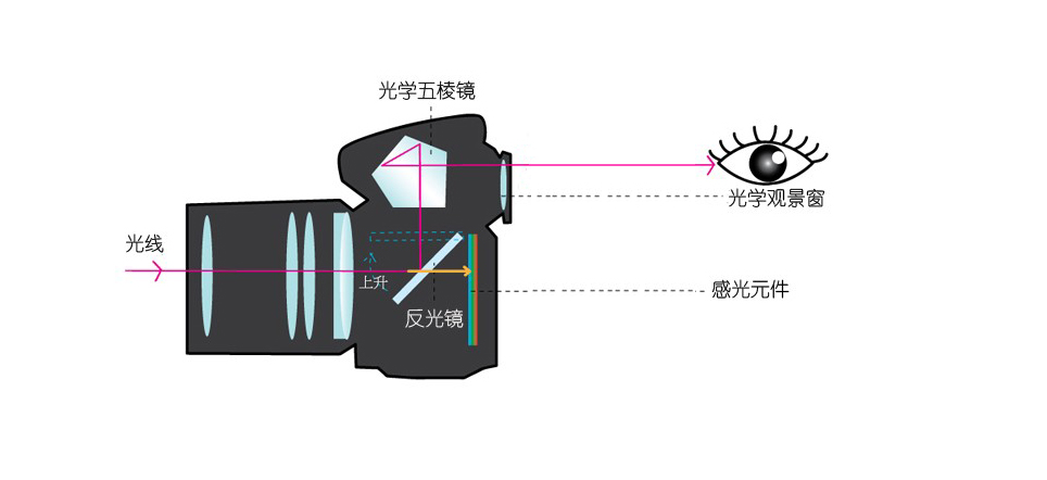 4个问题讲清楚——单反,微单,单电,无反