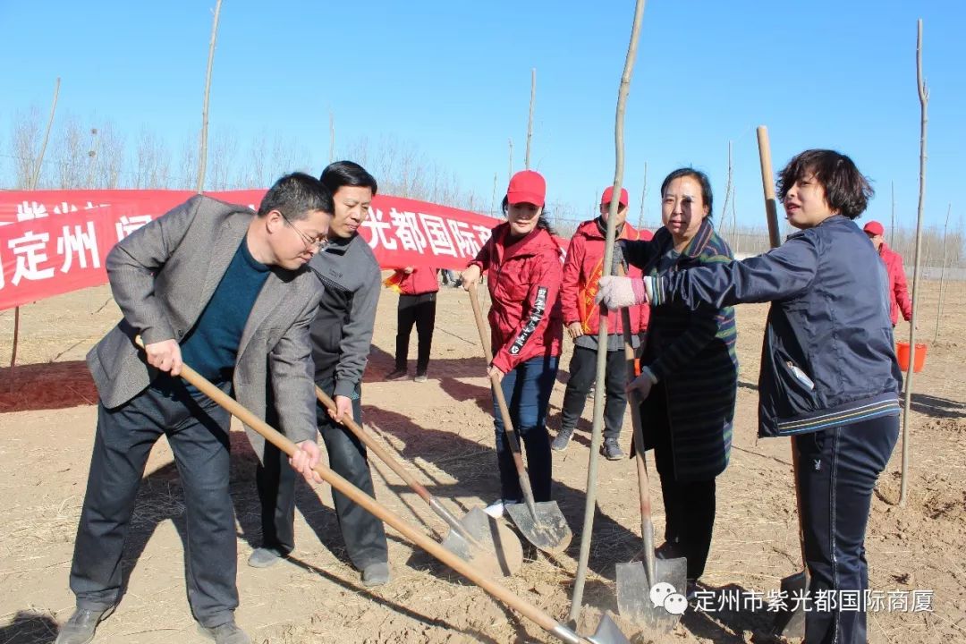 定州唐城村搬迁图片