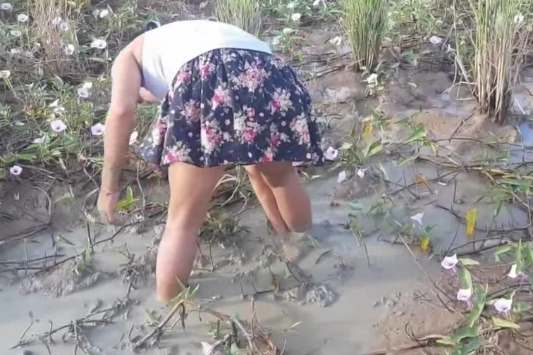 柬埔寨美女泥潭抓鱼一抓一个准太厉害了