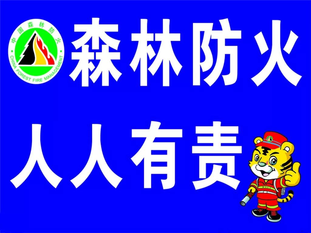 八,凡违反本森林防火禁火令者,由森林公安机关或当地公安机关依照