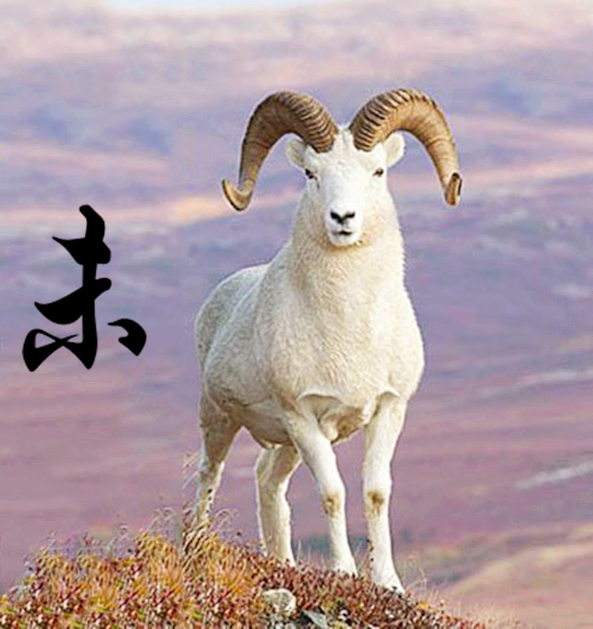 属羊的微信名字图片