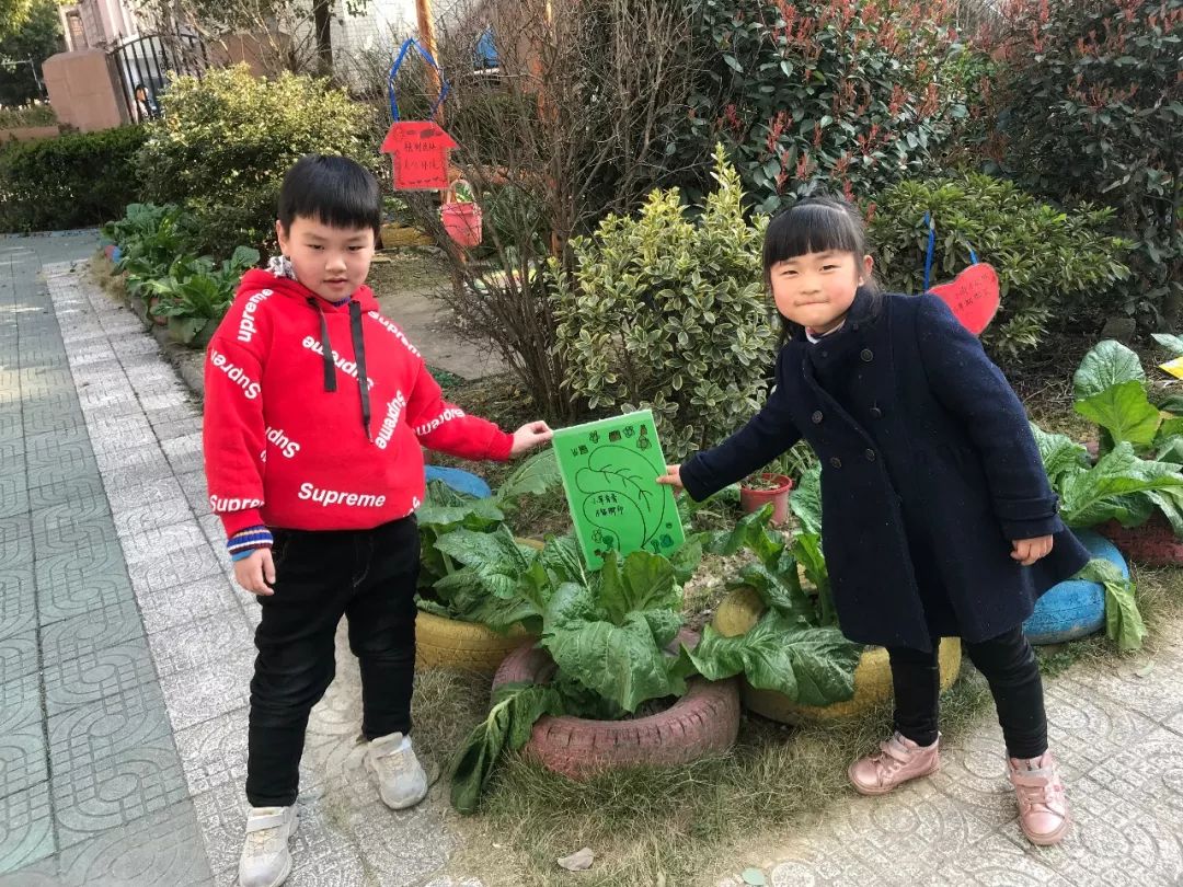 植樹節:幼兒園裡的