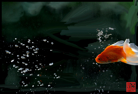 动态金鱼游动手机壁纸图片