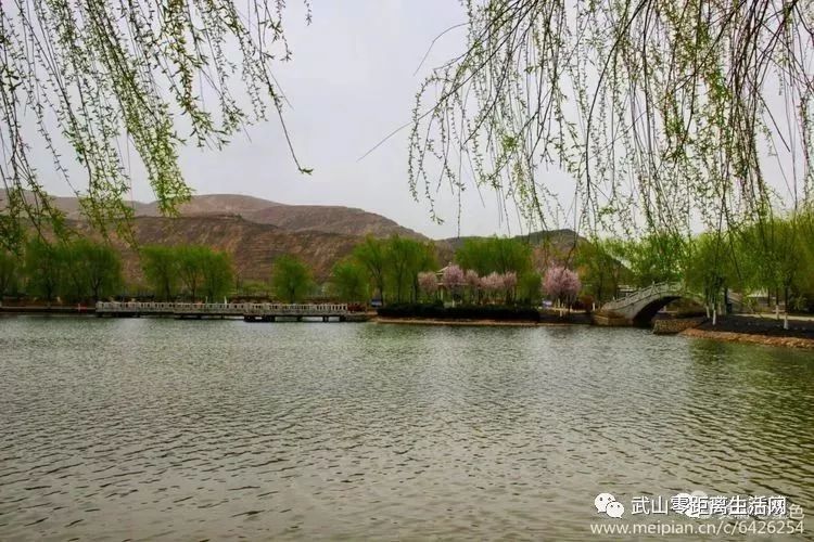 武山鸳鸯湖公园图片