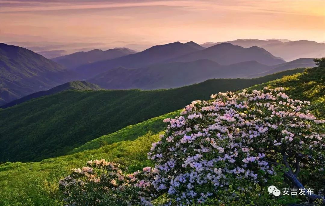 安吉七彩山地景区图片