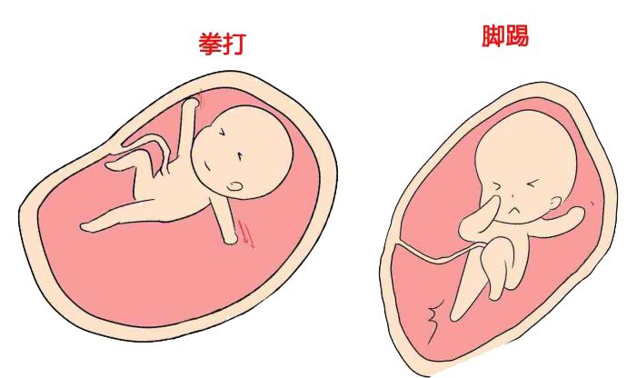 孕39周胎儿的姿势图片图片