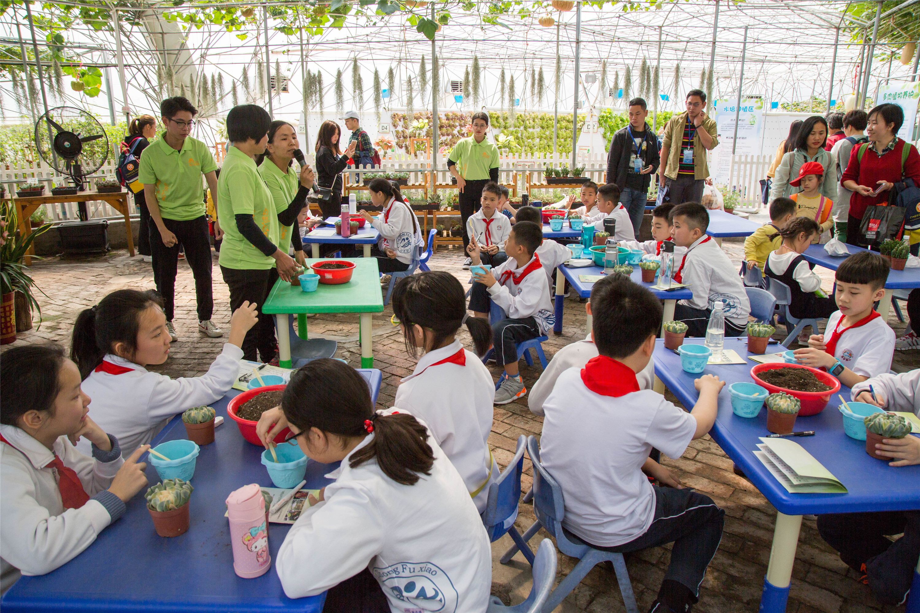 高明中小学生研学实践基地落户盈香生态园,学生游向研学游提升