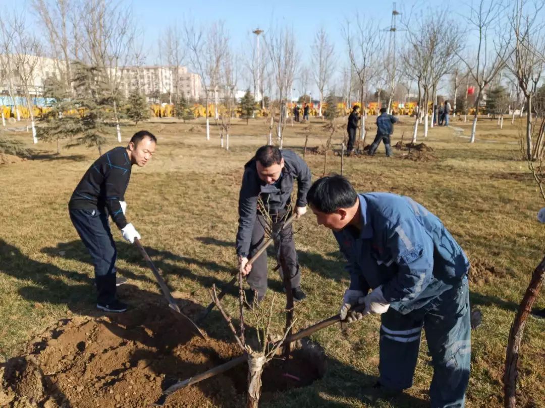 第41个植树节我们聚焦邢东矿