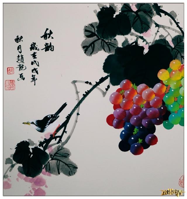 画家赵龙葡萄作品图片