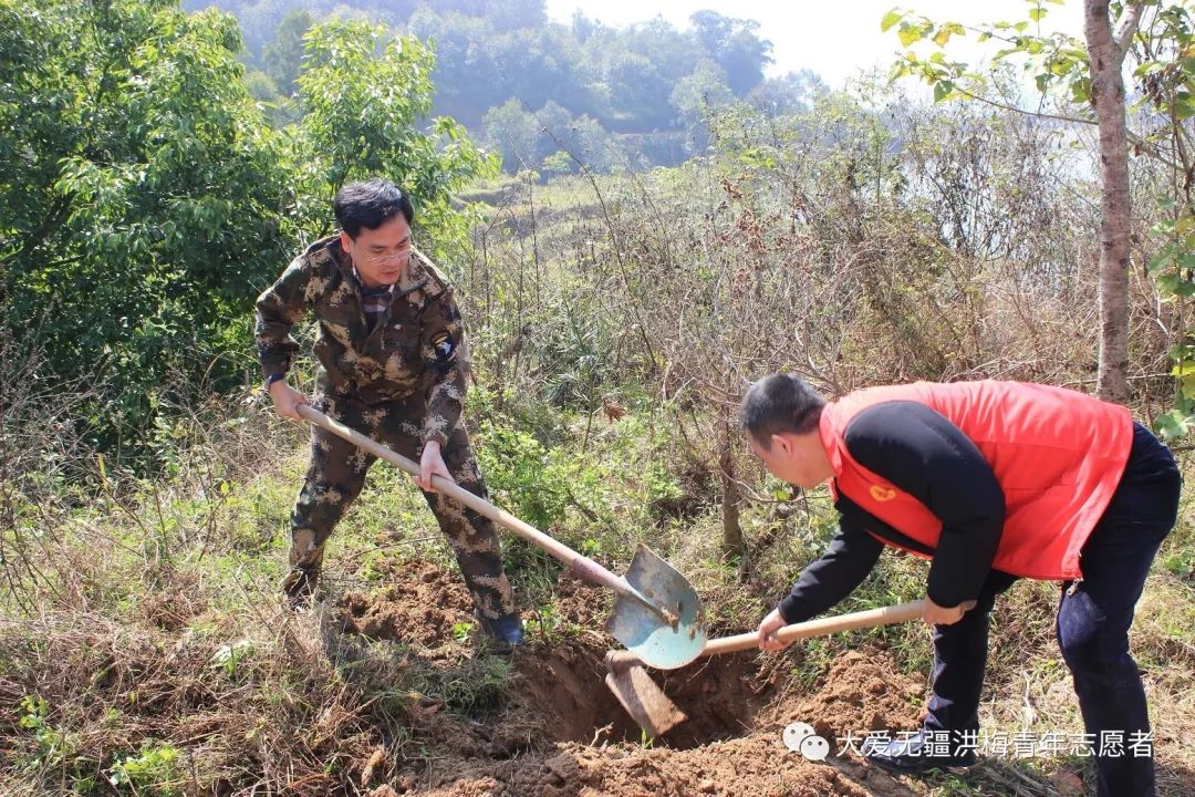 洪梅镇人民政府,南安市洪梅志愿者协会,新联村村委会联合开展了绿水