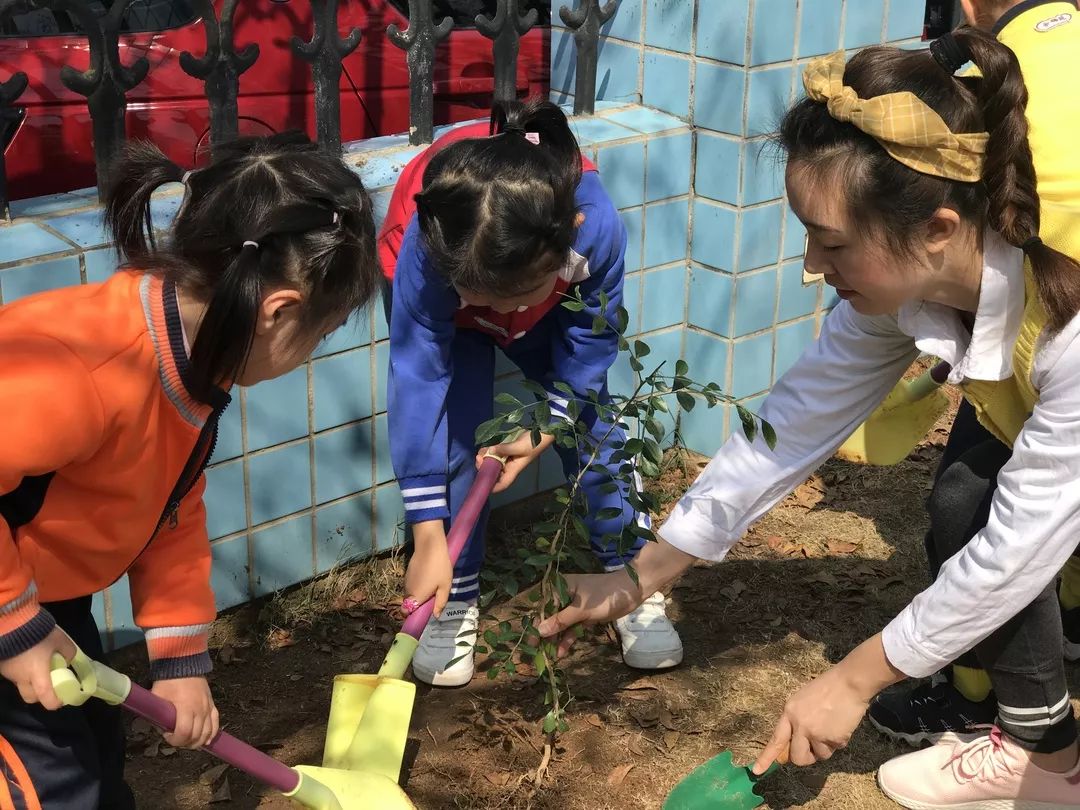 綠色小天使在行動記翔安區實驗幼兒園植樹節活動