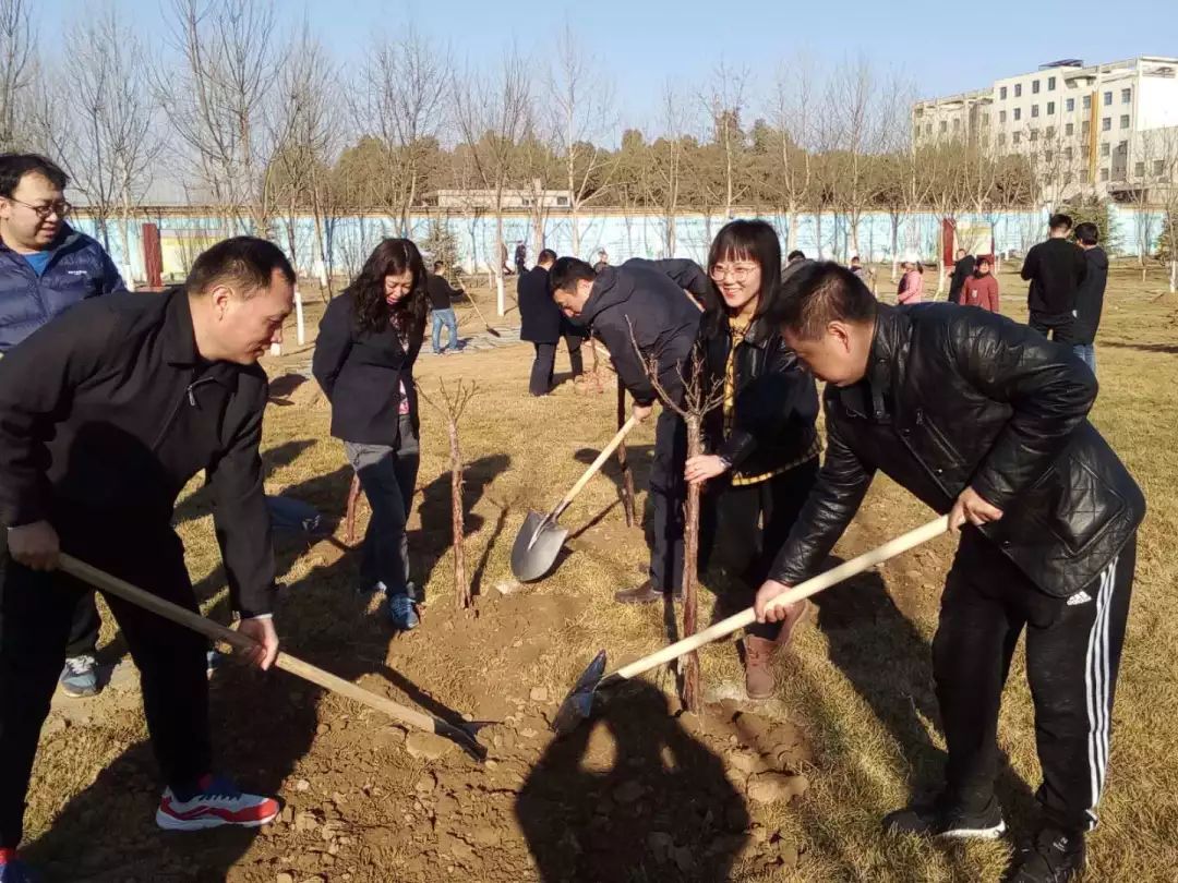 第41个植树节我们聚焦邢东矿