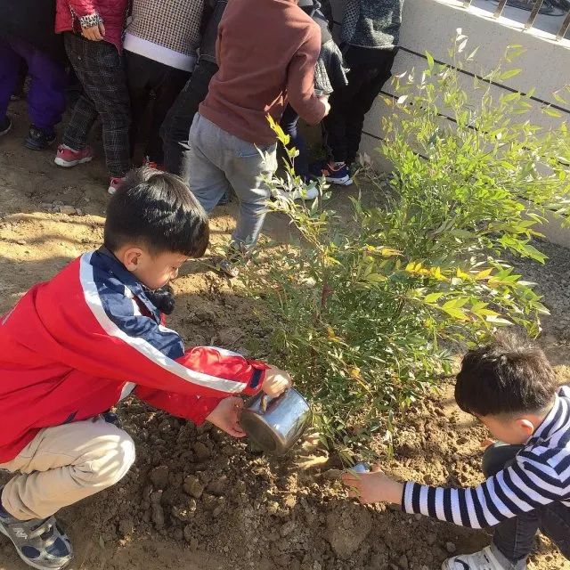 綠色行動七巧板幼兒園植樹節教育活動