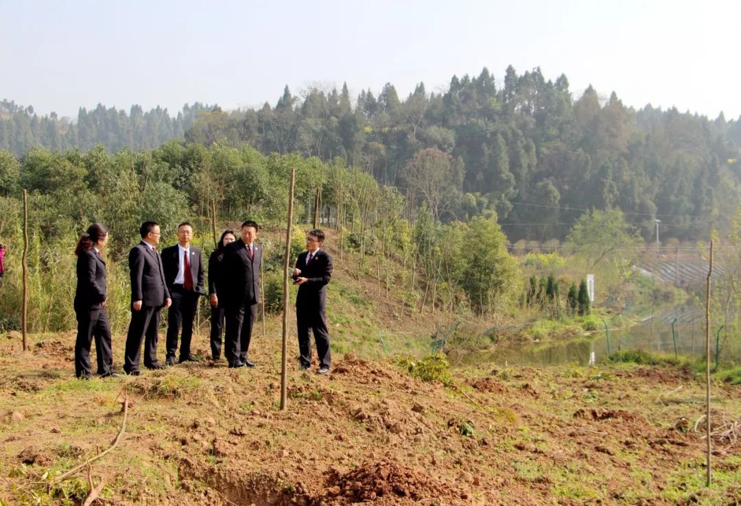 示範基地啟動儀式現場,工作人員監督引導違法行為人補植小葉香樟120餘