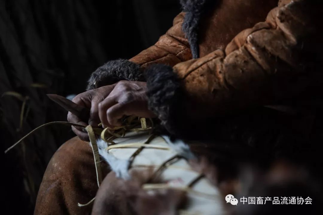 将马皮固定,并编织预留出捆绑鞋子的带子,一块毛皮滑雪板就制作完成了