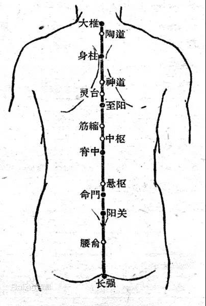 壮阳益气补益脾胃脊中穴