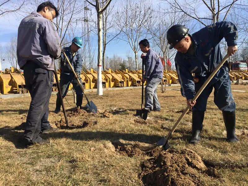 第41个植树节我们聚焦邢东矿