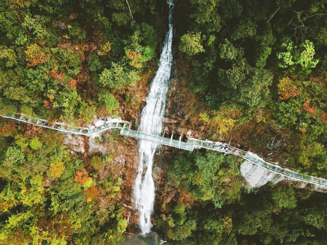 凤冈九龙景区玻璃桥图片