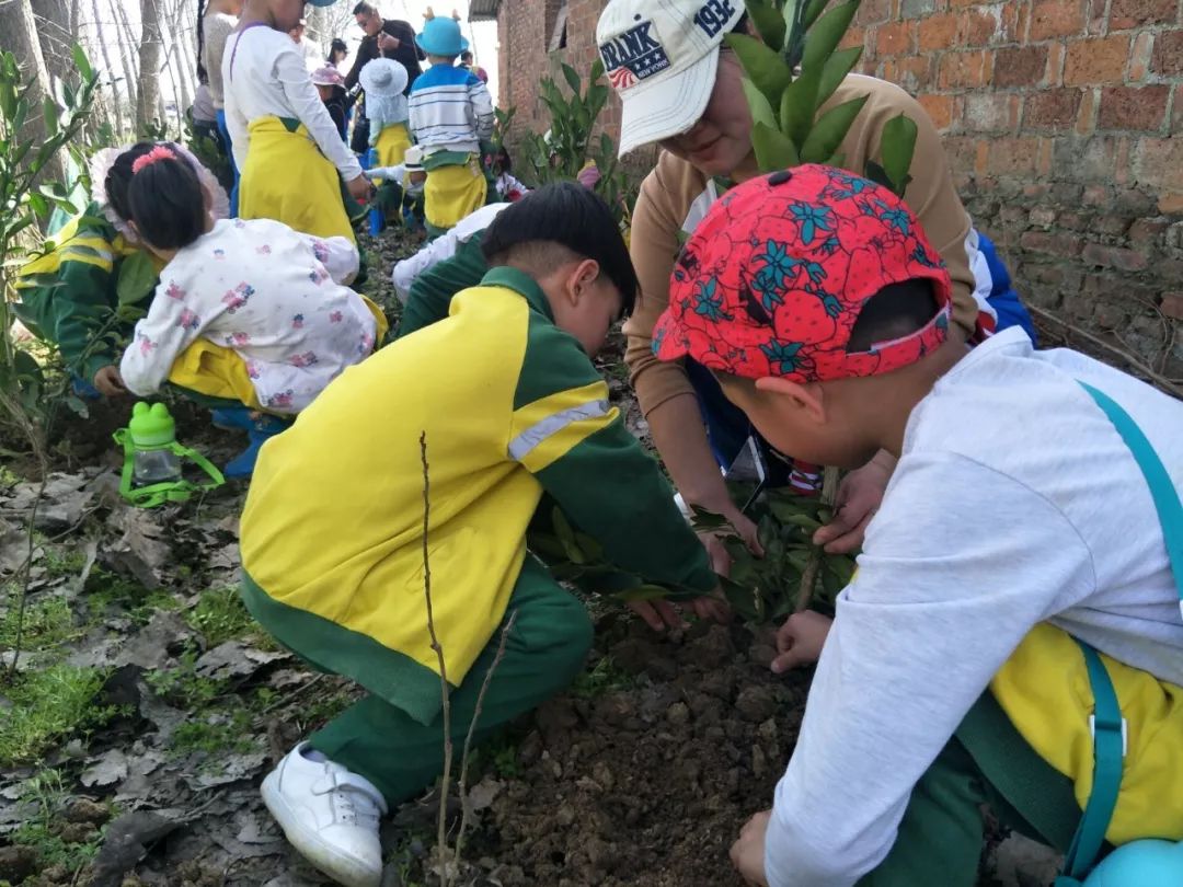 種一棵小樹綠一方淨土天門市東方幼兒園植樹節活動