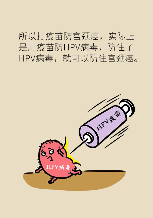接种hpv疫苗就万事大吉了?预防宫颈癌有三道防线