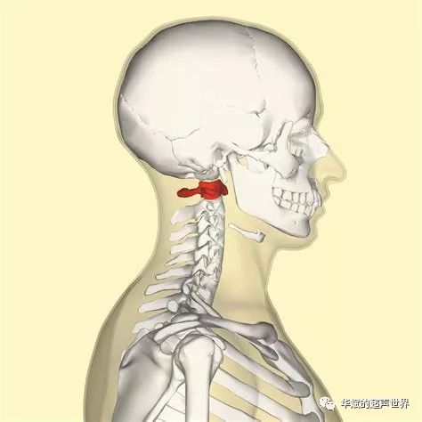 希腊神话 阿特拉斯和第一颈椎