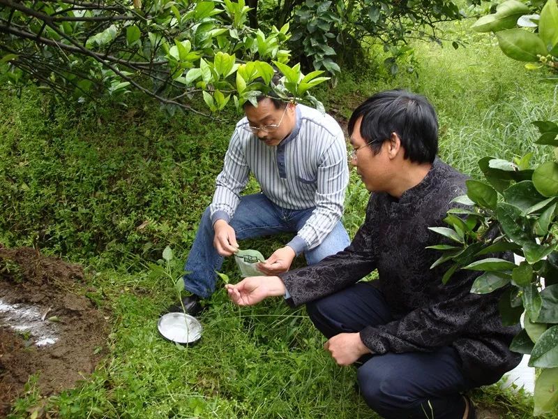 科特派在行动丨曹海青扎根基地技术帮扶企业全产业链发展