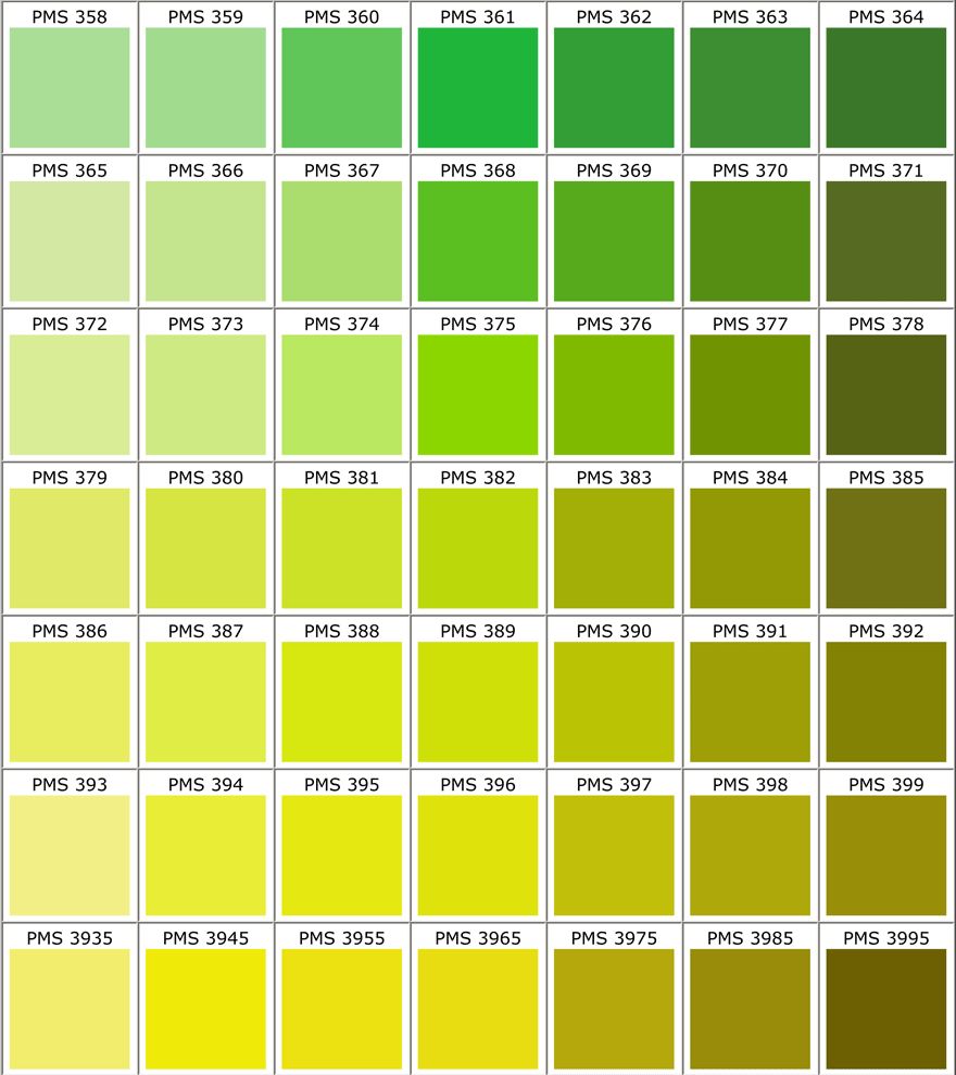 绿颜色标准图图片