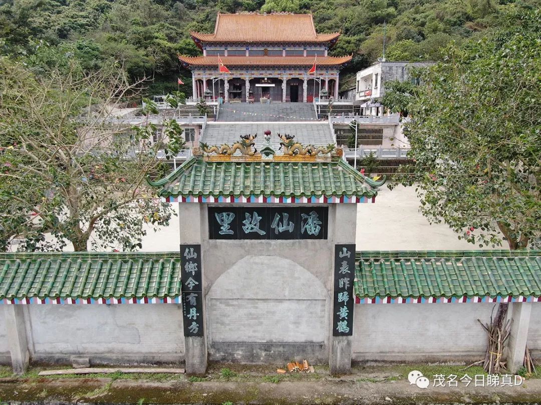 高州林泉寺大师图片