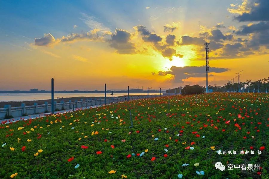读者蔡景星 摄 丰海路滨海公园 面朝大海,春暖花开 在泉州市区丰海路