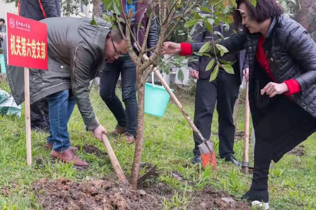 披上新衣的校园因着这一草一木而变得更加灵秀 根扎入深沉的土地