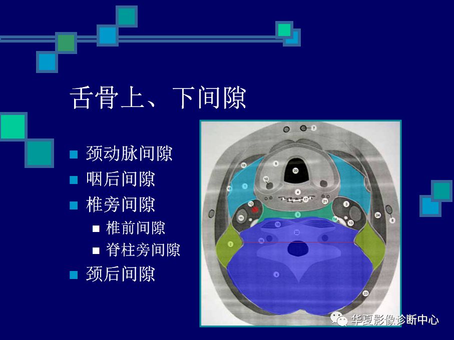 鼻咽部及咽旁間隙影像解剖與病理對照