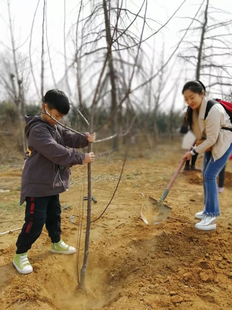 孩子一起種樹90每個小朋友都對種下的小樹苗寫上了自己的希望和寄語