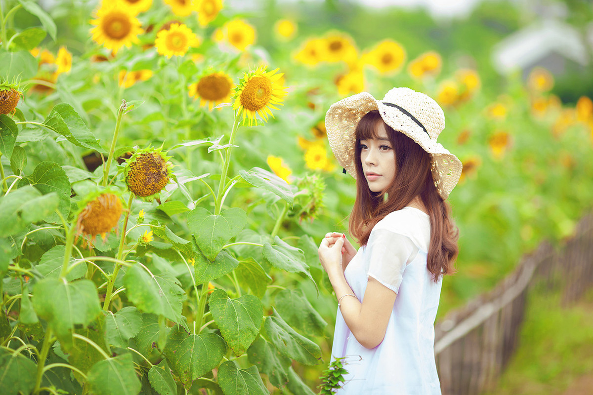 花与阳光意境图片微笑图片