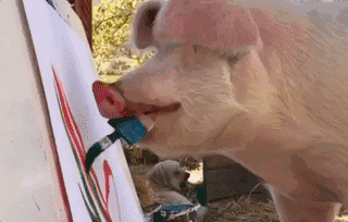 猪吃食表情包搞笑图片