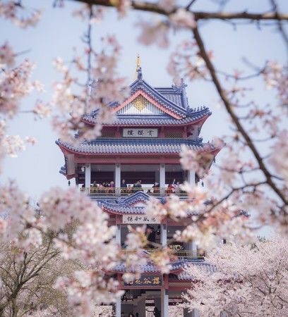 這裡有充山隱秀,鹿頂迎暉,黿渚春濤,橫雲山莊,廣福寺,太湖仙島,江南