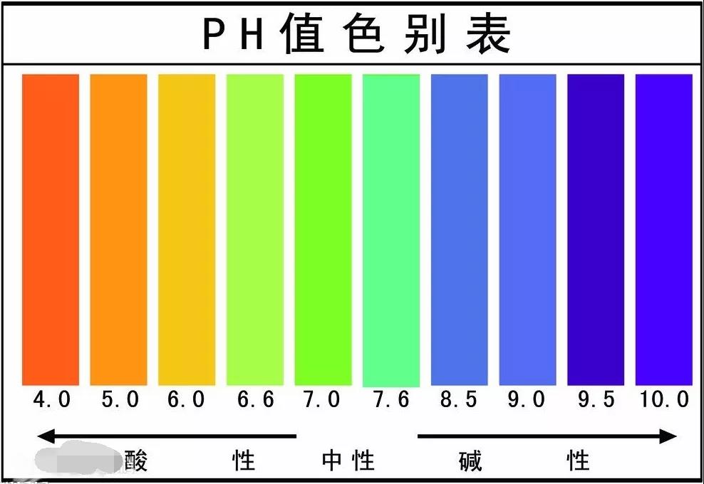 尿比重正常值范围图片