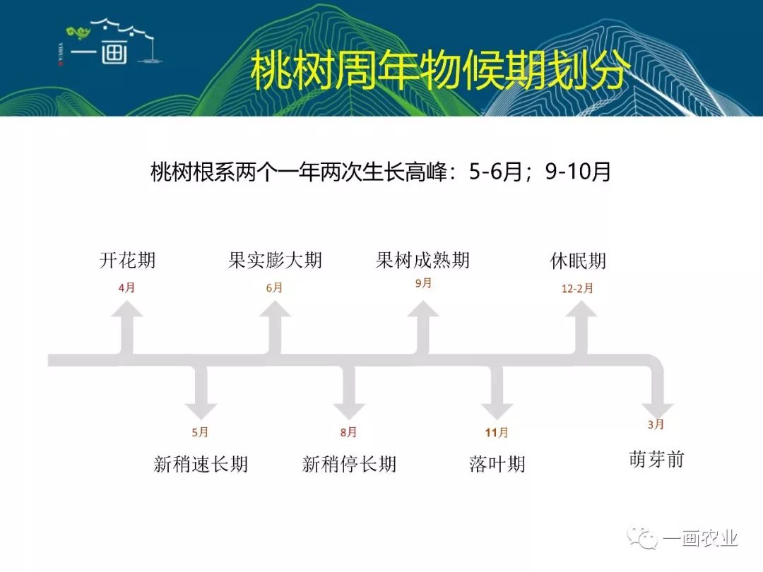 桃树全年施肥表肥料图片