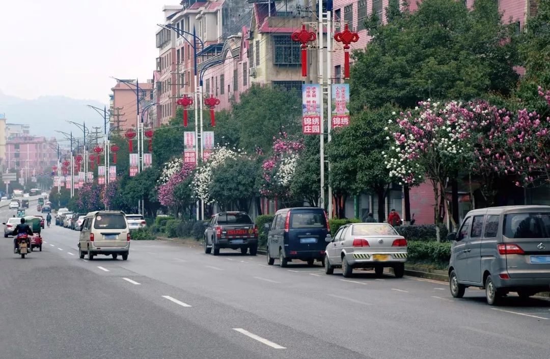 惊艳丨一路繁花相送桂阳这条路要刷屏了