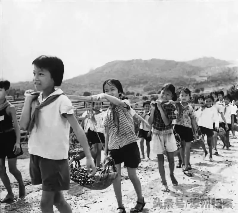 雲霄50年前的這些老照片你見過嗎