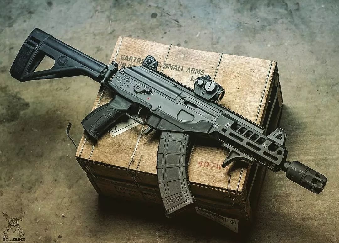 加利尔ace23步枪图片