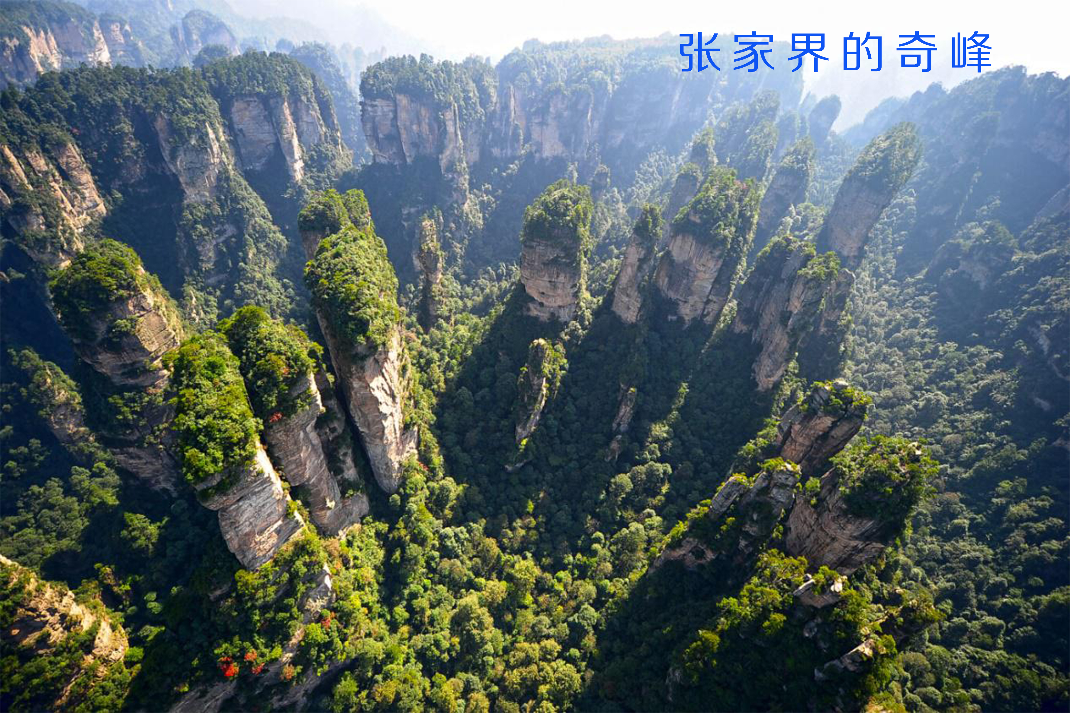 阿凡达中国取景地图片