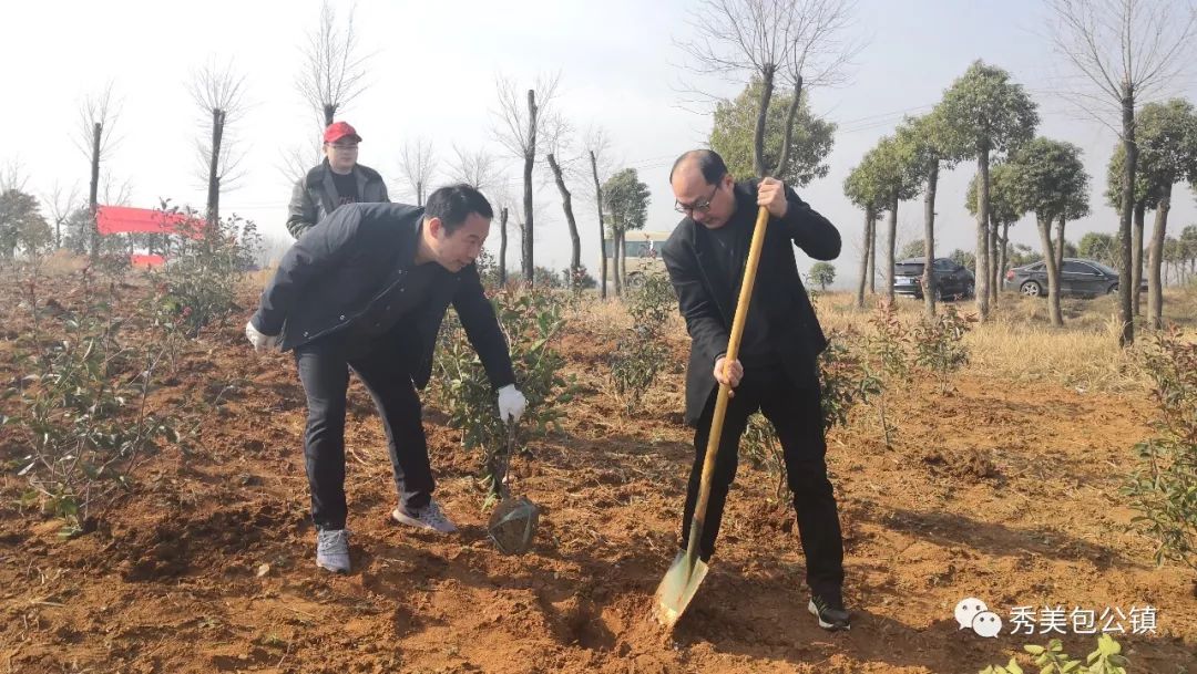 义务植树建设生态美丽家园