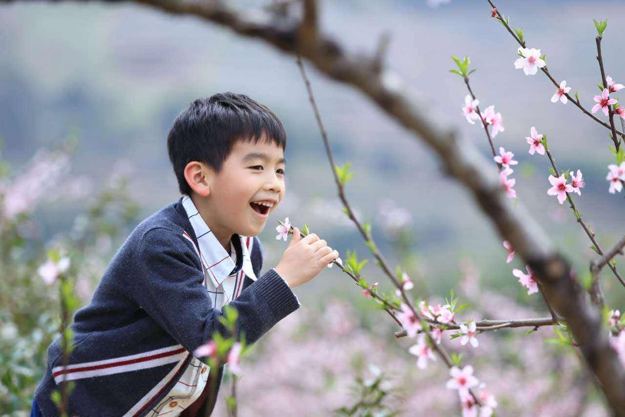 【白雲山】桃花戀旅人,帶你私奔去看萬畝桃林!_福安