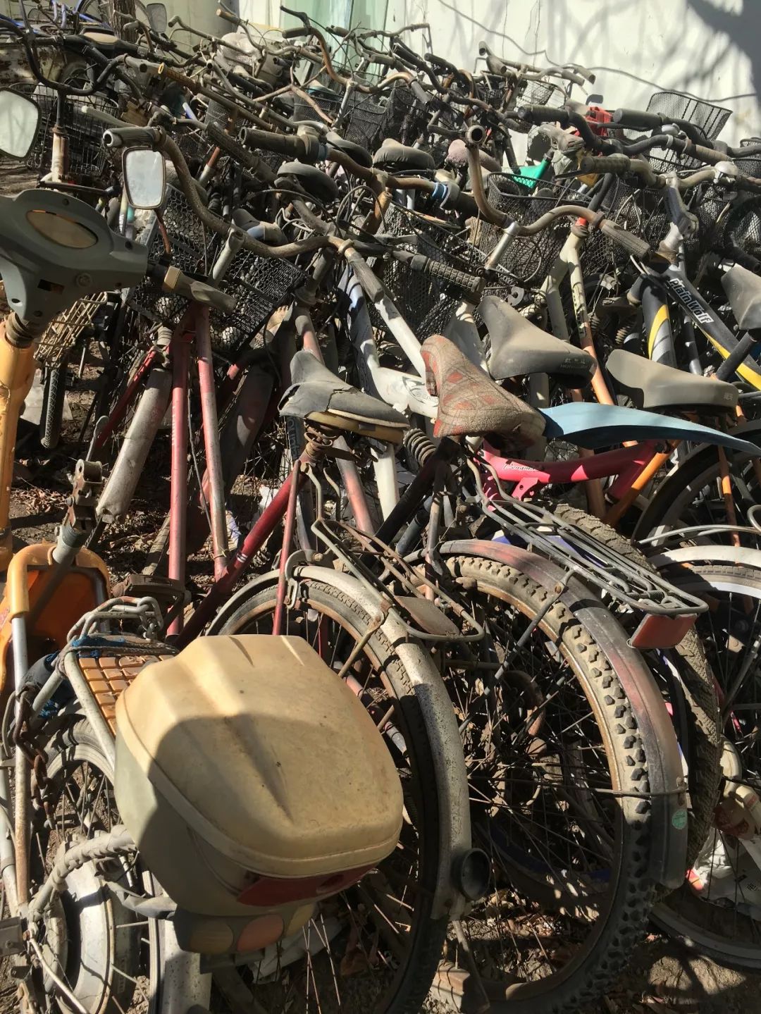 今日话题不值钱懒得卖小区废旧自行车该怎么处理