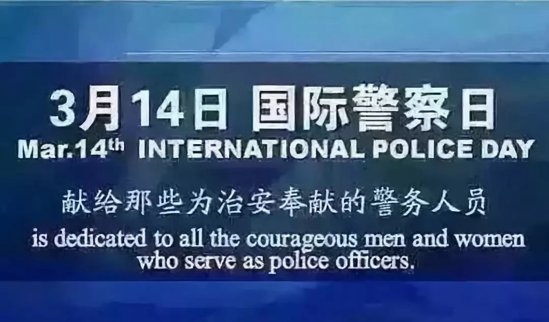 国际警察日美篇图片