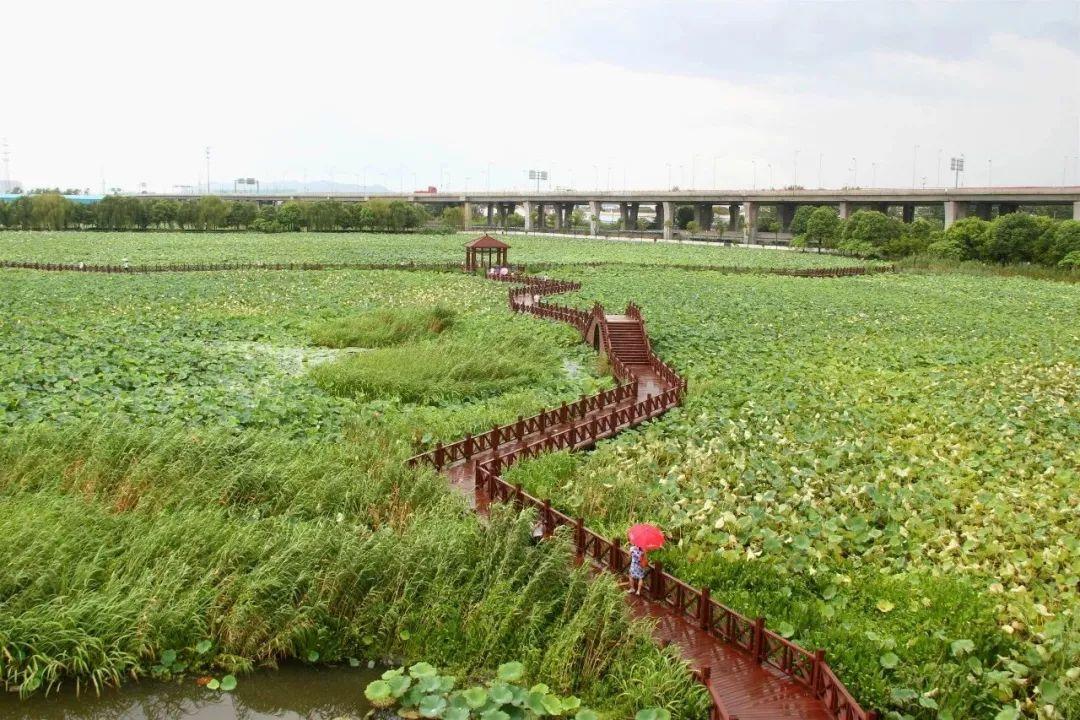 盛澤湖月季公園▼葫蘆島▼靈峰牧谷農場▼回首過去,展望未來相城區走