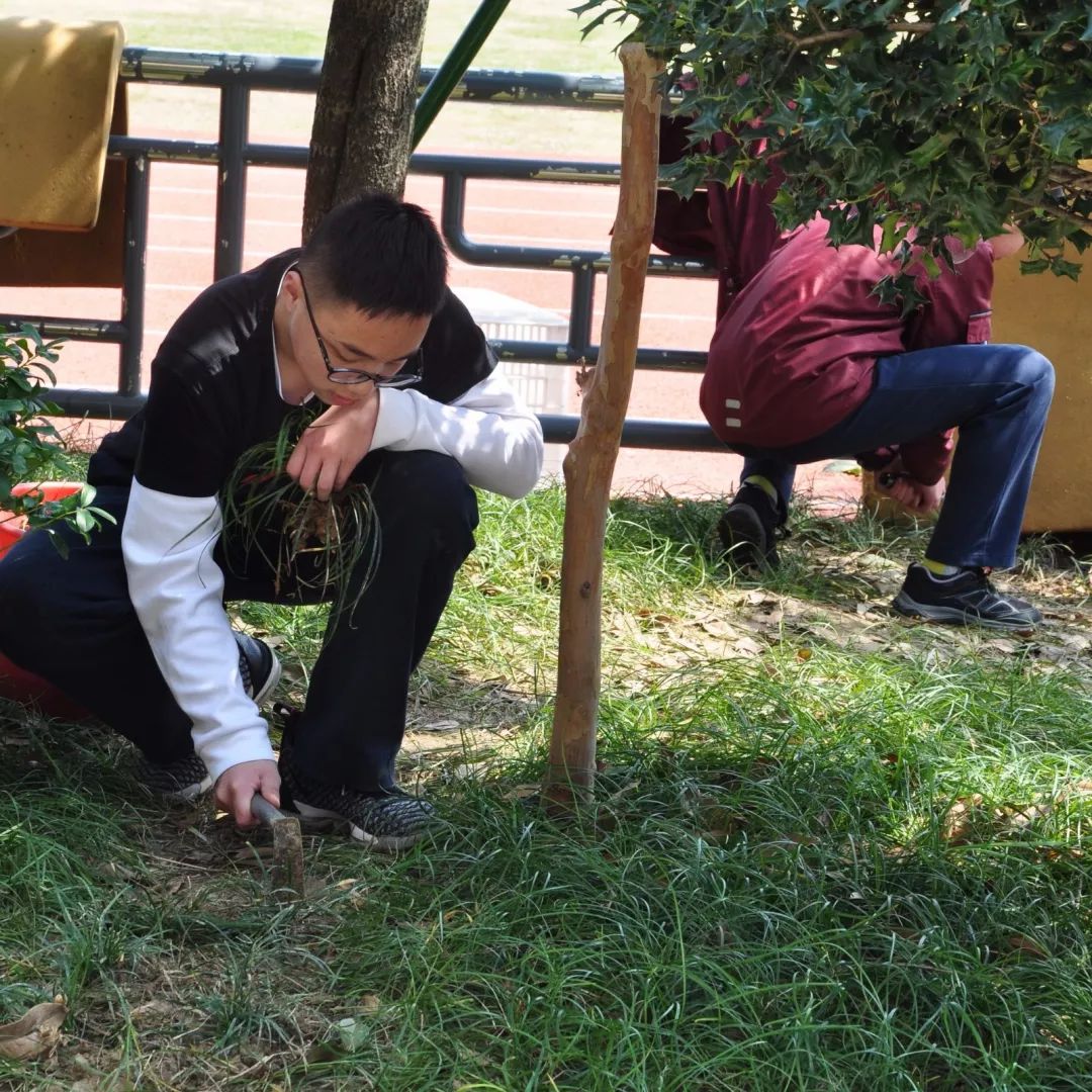 植树照片背影单人图片