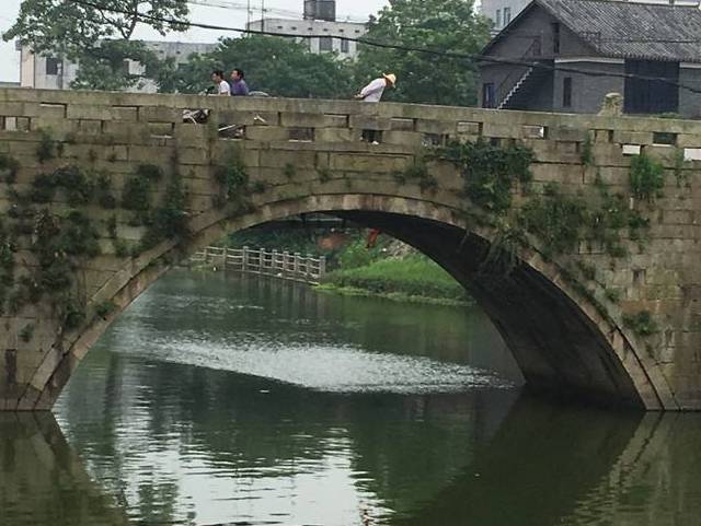 兰溪枫林桥简介图片